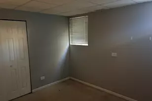 610 Daisy Ln, Roselle, IL 60172 - Photo 30