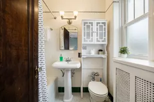 227 N Grove Ave, Oak Park, IL 60302 - Photo 18