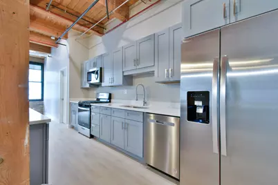 11 E Illinois Street #301, Chicago, IL 60611 - Photo 4