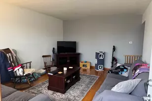 7731 S Keating Ave, Chicago, IL 60652 - Photo 4