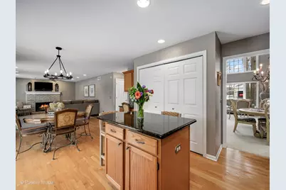 2412 Pepper Tree Court, Lisle, IL 60532 - Photo 10