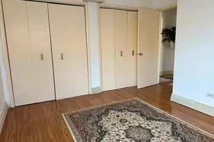 8518 W Rascher Ave, Chicago, IL 60656 - Photo 16
