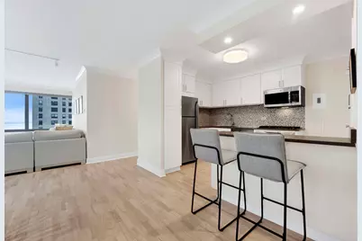 247 E Chestnut Street #1201, Chicago, IL 60611 - Photo 14