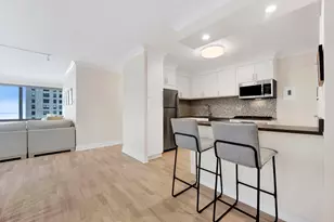 247 E Chestnut St, Chicago, IL 60611 - Photo 14