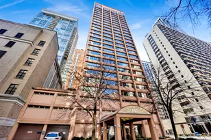 247 E Chestnut St, Chicago, IL 60611 - Photo 2