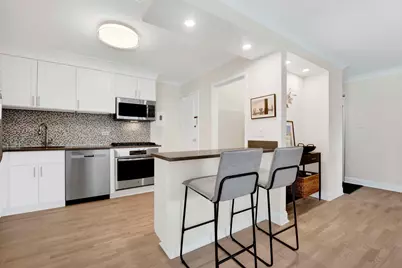 247 E Chestnut Street #1201, Chicago, IL 60611 - Photo 12