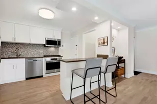 247 E Chestnut St, Chicago, IL 60611 - Photo 12