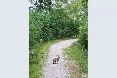 1347 Wild Indigo Road, Grayslake, IL 60030 - Photo 44