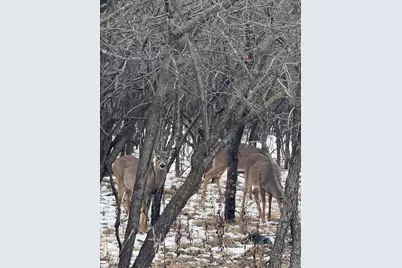 5241 N East River Road #1C, Chicago, IL 60656 - Photo 8