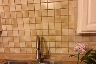 5241 N East River Rd, Chicago, IL 60656 - Photo 4