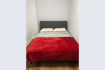 917 N Sacramento Boulevard, Chicago, IL 60622 - Photo 28