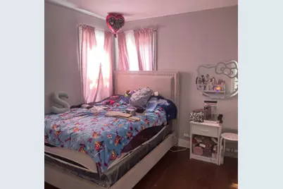 7252 S Christiana Avenue, Chicago, IL 60629 - Photo 10