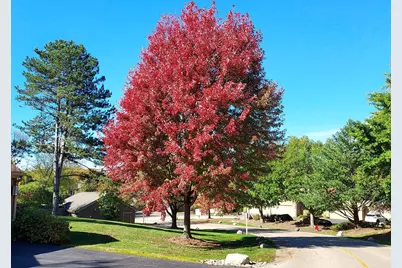 787 Oak Hill Road #467, Lake Barrington, IL 60010 - Photo 60