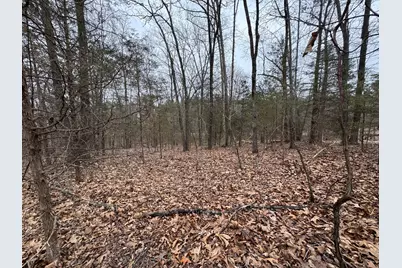 000 Indian Creek Drive, Orangeville, IL 62939 - Photo 4