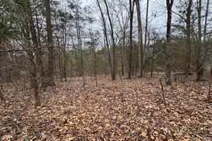 000 Indian Creek Dr, Orangeville, IL 62939 - Photo 1