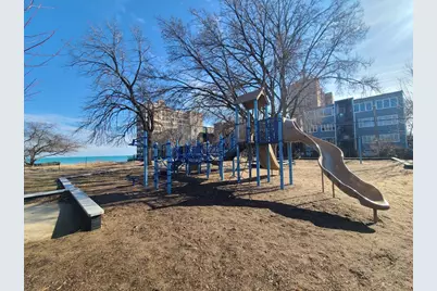 1127 W Albion Avenue, Chicago, IL 60626 - Photo 46