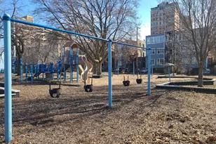 1127 W Albion Ave, Chicago, IL 60626 - Photo 48