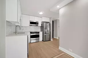 1030 N State St, Chicago, IL 60610 - Photo 6