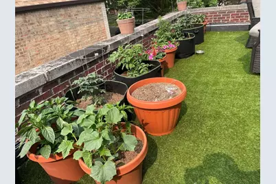 9926 S Campbell Avenue, Chicago, IL 60655 - Photo 14