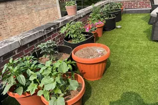 9926 S Campbell Ave, Chicago, IL 60655 - Photo 14