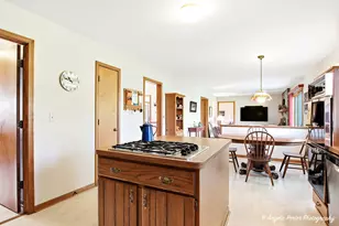 26630 N Pheasant Trail, Wauconda, IL 60084 - Photo 20