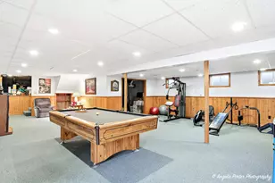 26630 N Pheasant Trail, Wauconda, IL 60084 - Photo 38