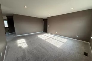 2344 Corn Lily Rd, Naperville, IL 60564 - Photo 22