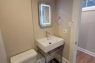 1621 S Ruble St, Chicago, IL 60616 - Photo 8