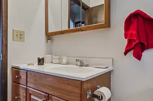 313 5th St, Colona, IL 61241 - Photo 36