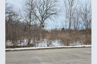 13472 W Hart Street, Wadsworth, IL 60083 - Photo 1