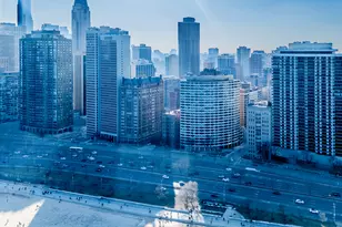 1212 N Lake Shore Dr, Chicago, IL 60610 - Photo 4