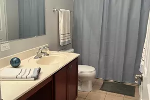 3032 Longcommon Pkwy, Elgin, IL 60124 - Photo 24