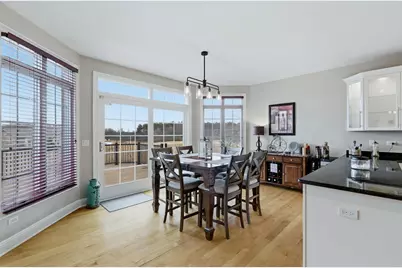 25230 S Tuscany Drive E, Monee, IL 60449 - Photo 8