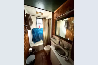 219 W Erie Street, Spring Valley, IL 61362 - Photo 12