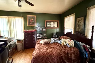 219 W Erie St, Spring Valley, IL 61362 - Photo 10