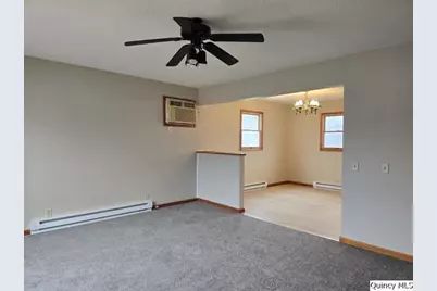 219 S First Street, Carthage, IL 62321 - Photo 4