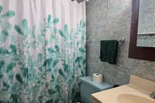 710 Country Ln, Carthage, IL 62321 - Photo 10