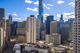 118 E Erie St, Chicago, IL 60611 - Photo 32