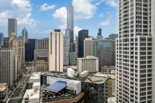 118 E Erie St, Chicago, IL 60611 - Photo 36