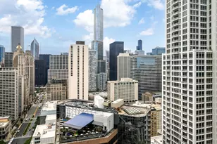 118 E Erie St, Chicago, IL 60611 - Photo 40