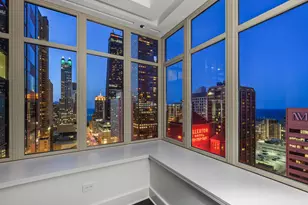 118 E Erie St, Chicago, IL 60611 - Photo 42