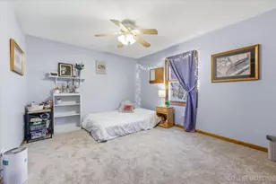 628 Flock Ave, Naperville, IL 60565 - Photo 20