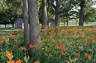 2411 Goldberg Rd, Bloomington, IL 61705 - Photo 54