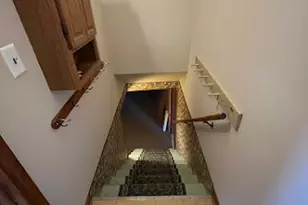 447 Dennis Ave, Bradley, IL 60915 - Photo 18