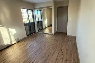 1813 Hemlock Pl, Schaumburg, IL 60173 - Photo 10