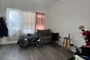 3822 S Honore St, Chicago, IL 60609 - Photo 30