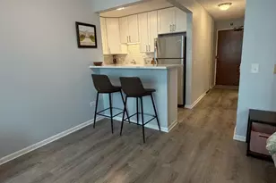 480 N McClurg Ct, Chicago, IL 60611 - Photo 4