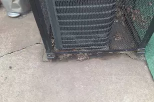 12549 S Michigan Ave, Chicago, IL 60628 - Photo 28