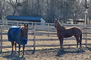 708 S Rose Farm Rd, Woodstock, IL 60098 - Photo 88