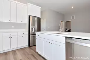 3909 Monica Ln, Johnsburg, IL 60051 - Photo 10